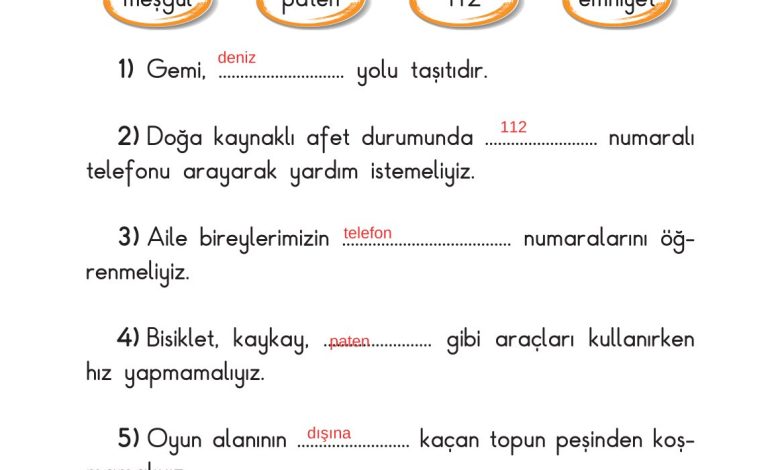 2. Sınıf Sdr Dikey Yayıncılık Hayat Bilgisi Ders Kitabı Sayfa 151 Cevapları