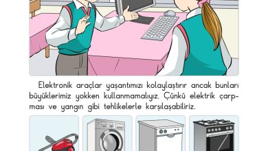 2. Sınıf Sdr Dikey Yayıncılık Hayat Bilgisi Ders Kitabı Sayfa 143 Cevapları