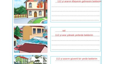 2. Sınıf Sdr Dikey Yayıncılık Hayat Bilgisi Ders Kitabı Sayfa 140 Cevapları