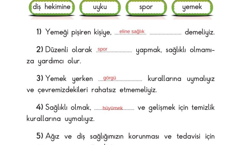 2. Sınıf Sdr Dikey Yayıncılık Hayat Bilgisi Ders Kitabı Sayfa 125 Cevapları