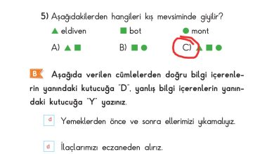 2. Sınıf Sdr Dikey Yayıncılık Hayat Bilgisi Ders Kitabı Sayfa 124 Cevapları