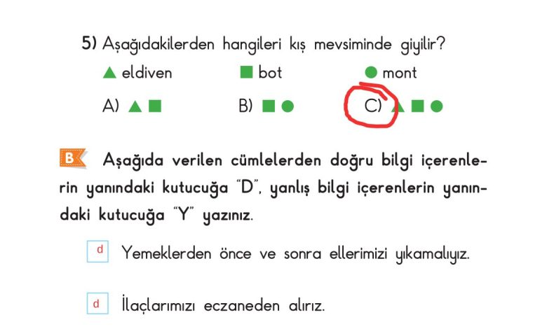 2. Sınıf Sdr Dikey Yayıncılık Hayat Bilgisi Ders Kitabı Sayfa 124 Cevapları