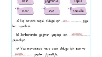 2. Sınıf Sdr Dikey Yayıncılık Hayat Bilgisi Ders Kitabı Sayfa 122 Cevapları