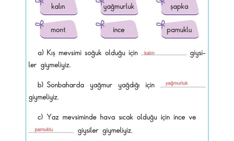 2. Sınıf Sdr Dikey Yayıncılık Hayat Bilgisi Ders Kitabı Sayfa 122 Cevapları