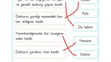 2. Sınıf Sdr Dikey Yayıncılık Hayat Bilgisi Ders Kitabı Sayfa 117 Cevapları