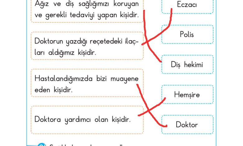 2. Sınıf Sdr Dikey Yayıncılık Hayat Bilgisi Ders Kitabı Sayfa 117 Cevapları