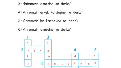 2. Sınıf Sdr Dikey Yayıncılık Hayat Bilgisi Ders Kitabı Sayfa 94 Cevapları