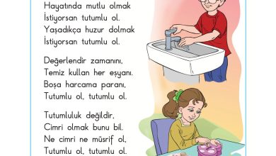 2. Sınıf Sdr Dikey Yayıncılık Hayat Bilgisi Ders Kitabı Sayfa 89 Cevapları