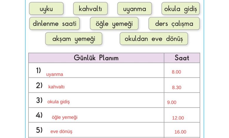 2. Sınıf Sdr Dikey Yayıncılık Hayat Bilgisi Ders Kitabı Sayfa 86 Cevapları