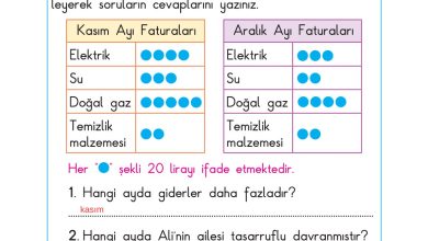 2. Sınıf Sdr Dikey Yayıncılık Hayat Bilgisi Ders Kitabı Sayfa 79 Cevapları