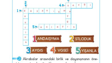 2. Sınıf Sdr Dikey Yayıncılık Hayat Bilgisi Ders Kitabı Sayfa 68 Cevapları