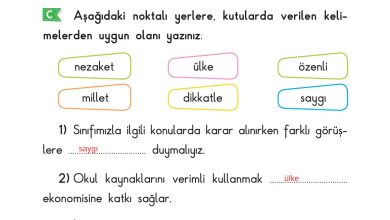 2. Sınıf Sdr Dikey Yayıncılık Hayat Bilgisi Ders Kitabı Sayfa 53 Cevapları