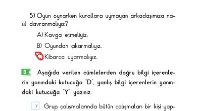 2. Sınıf Sdr Dikey Yayıncılık Hayat Bilgisi Ders Kitabı Sayfa 52 Cevapları