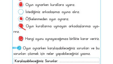 2. Sınıf Sdr Dikey Yayıncılık Hayat Bilgisi Ders Kitabı Sayfa 46 Cevapları