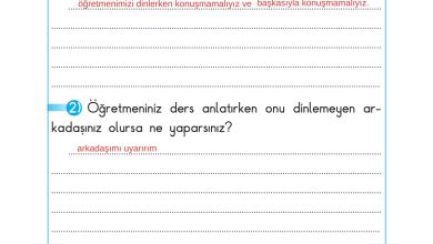 2. Sınıf Sdr Dikey Yayıncılık Hayat Bilgisi Ders Kitabı Sayfa 43 Cevapları