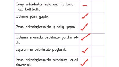 2. Sınıf Sdr Dikey Yayıncılık Hayat Bilgisi Ders Kitabı Sayfa 38 Cevapları