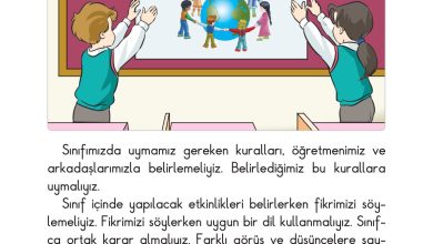 2. Sınıf Sdr Dikey Yayıncılık Hayat Bilgisi Ders Kitabı Sayfa 28 Cevapları