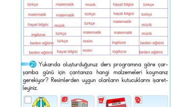 2. Sınıf Sdr Dikey Yayıncılık Hayat Bilgisi Ders Kitabı Sayfa 25 Cevapları