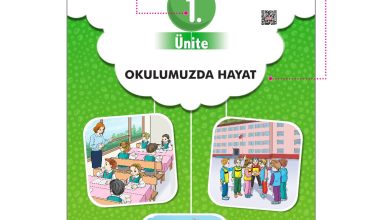 2. Sınıf Sdr Dikey Yayıncılık Hayat Bilgisi Ders Kitabı Sayfa 12 Cevapları