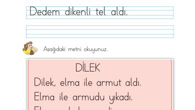 1. Sınıf İlke Yayınları İlk Okuma Yazma Kitabı Ders Kitabı Sayfa 119 Cevapları