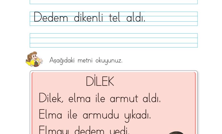 1. Sınıf İlke Yayınları İlk Okuma Yazma Kitabı Ders Kitabı Sayfa 119 Cevapları