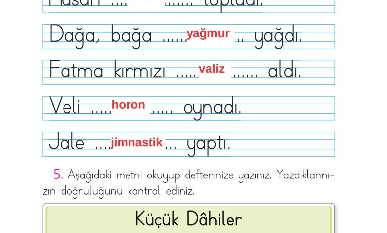 1. Sınıf İlke Yayınları İlk Okuma Yazma Kitabı Ders Kitabı Sayfa 194 Cevapları