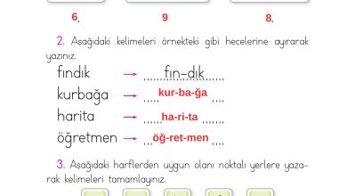 1. Sınıf İlke Yayınları İlk Okuma Yazma Kitabı Ders Kitabı Sayfa 193 Cevapları