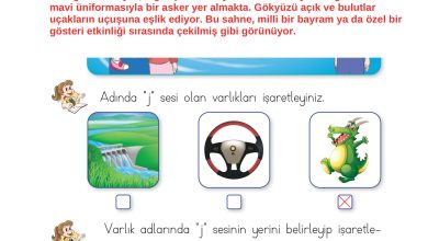 1. Sınıf İlke Yayınları İlk Okuma Yazma Kitabı Ders Kitabı Sayfa 189 Cevapları