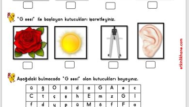 “G Sesi” Hissetme ve Tanıma Etkinlikleri