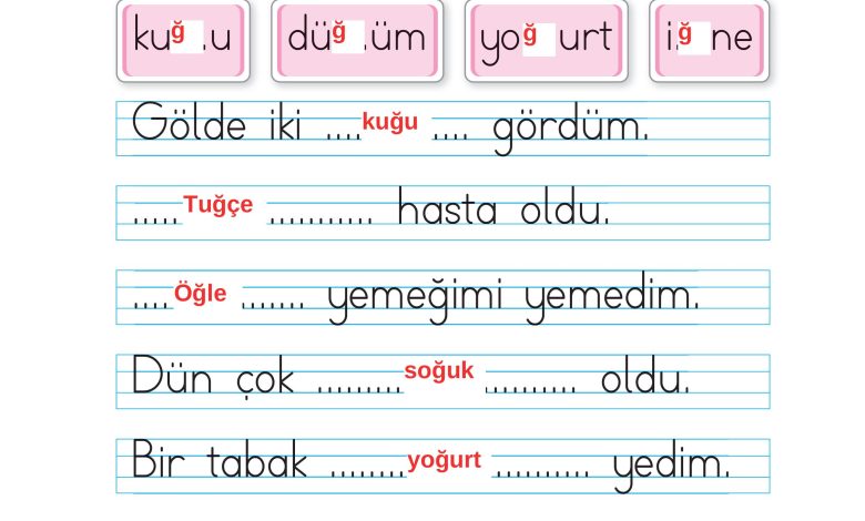 1. Sınıf İlke Yayınları İlk Okuma Yazma Kitabı Ders Kitabı Sayfa 183 Cevapları