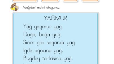 1. Sınıf İlke Yayınları İlk Okuma Yazma Kitabı Ders Kitabı Sayfa 182 Cevapları