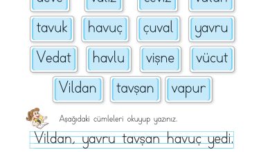 1. Sınıf İlke Yayınları İlk Okuma Yazma Kitabı Ders Kitabı Sayfa 178 Cevapları