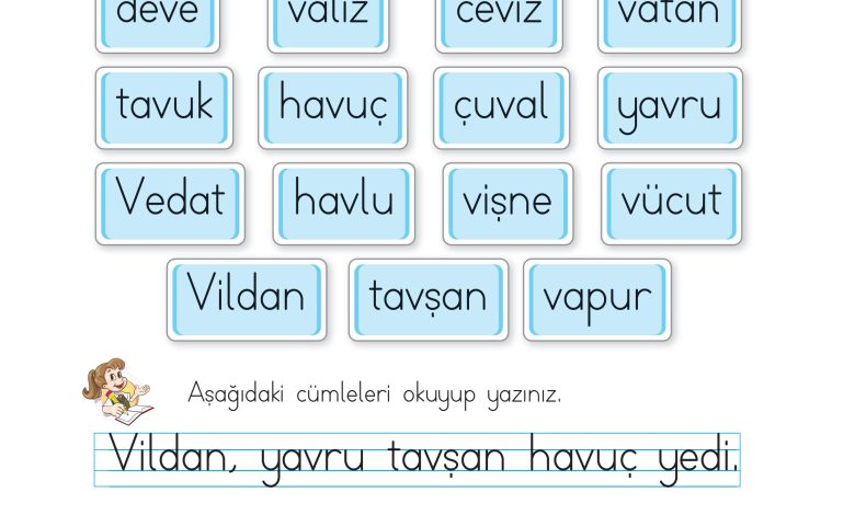 1. Sınıf İlke Yayınları İlk Okuma Yazma Kitabı Ders Kitabı Sayfa 178 Cevapları