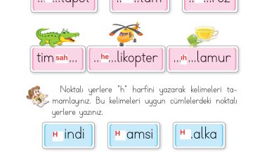 1. Sınıf İlke Yayınları İlk Okuma Yazma Kitabı Ders Kitabı Sayfa 174 Cevapları