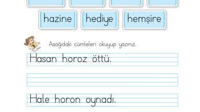 1. Sınıf İlke Yayınları İlk Okuma Yazma Kitabı Ders Kitabı Sayfa 173 Cevapları