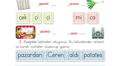 1. Sınıf İlke Yayınları İlk Okuma Yazma Kitabı Ders Kitabı Sayfa 167 Cevapları