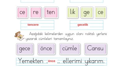 1. Sınıf İlke Yayınları İlk Okuma Yazma Kitabı Ders Kitabı Sayfa 161 Cevapları