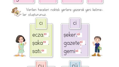 1. Sınıf İlke Yayınları İlk Okuma Yazma Kitabı Ders Kitabı Sayfa 160 Cevapları