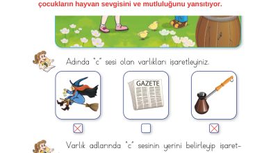 1. Sınıf İlke Yayınları İlk Okuma Yazma Kitabı Ders Kitabı Sayfa 157 Cevapları