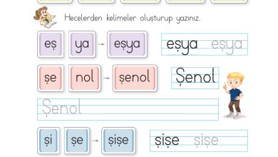 1. Sınıf İlke Yayınları İlk Okuma Yazma Kitabı Ders Kitabı Sayfa 155 Cevapları