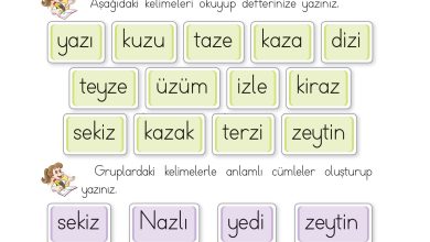 1. Sınıf İlke Yayınları İlk Okuma Yazma Kitabı Ders Kitabı Sayfa 140 Cevapları