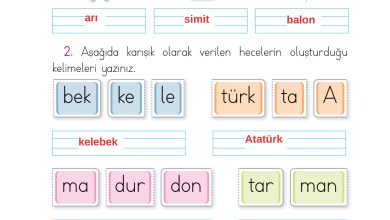 1. Sınıf İlke Yayınları İlk Okuma Yazma Kitabı Ders Kitabı Sayfa 133 Cevapları