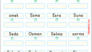 “S Sesi” Kelime Oluşturma Etkinlikleri