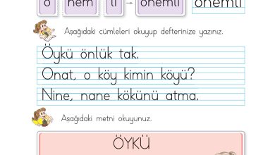 1. Sınıf İlke Yayınları İlk Okuma Yazma Kitabı Ders Kitabı Sayfa 101 Cevapları