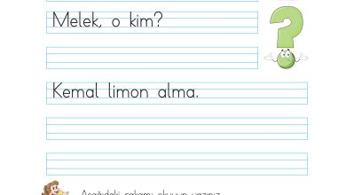 1. Sınıf İlke Yayınları İlk Okuma Yazma Kitabı Ders Kitabı Sayfa 67 Cevapları