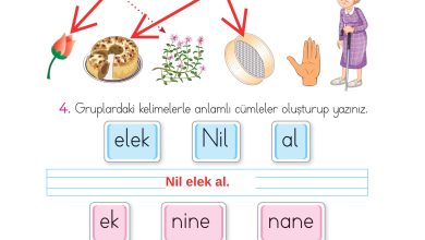 1. Sınıf İlke Yayınları İlk Okuma Yazma Kitabı Ders Kitabı Sayfa 54 Cevapları