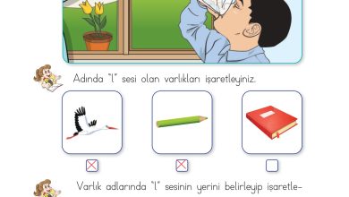 1. Sınıf İlke Yayınları İlk Okuma Yazma Kitabı Ders Kitabı Sayfa 24 Cevapları