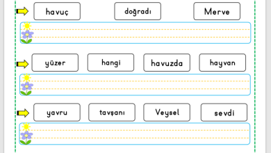 “V Sesi” Cümle Oluşturma Etkinlikleri