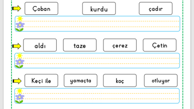 “Ç Sesi” Cümle Oluşturma Etkinlikleri