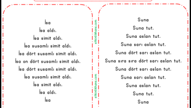 “S Sesi” Hızlı Okuma Metinleri